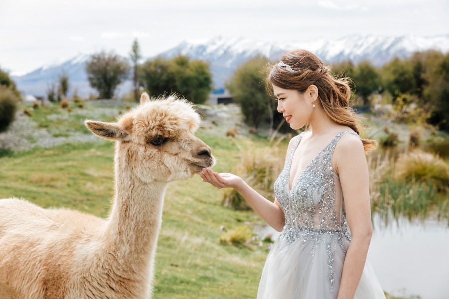 N&J: 紐西蘭婚紗拍攝 - 科羅曼德爾峰、冰川，櫻花 by Fei on OneThreeOneFour 18