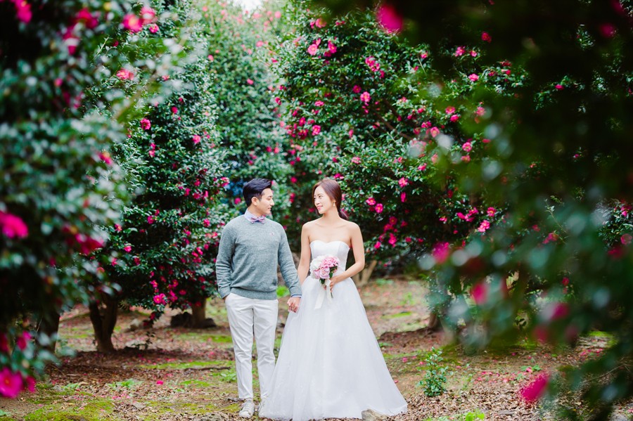Jeju Island Pre-Wedding Photography in Camellia Hill by Ray on OneThreeOneFour 5