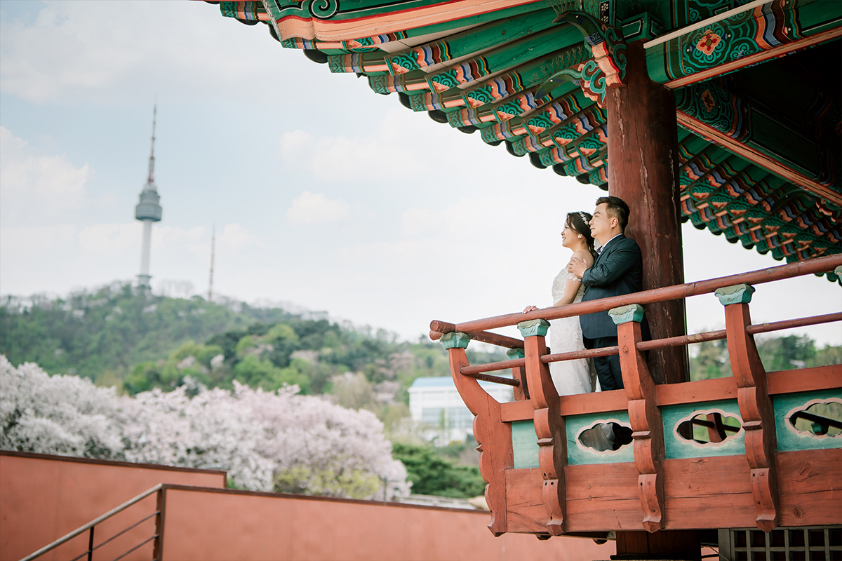 Cherry Kiss: Capturing Love Amidst Seoul's Cherry Blossoms by Jungyeol on OneThreeOneFour 28