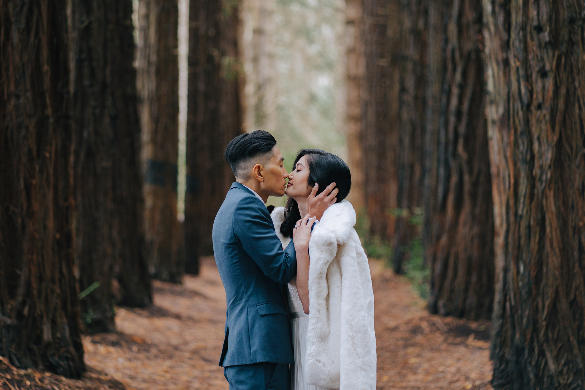 Melbourne Pre-Wedding Photoshoot in Royal Botanical Gardens & Redwood Forest by Freddie on OneThreeOneFour 29