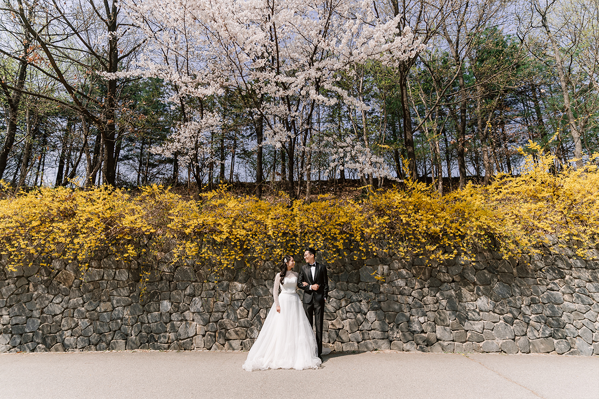 City in Bloom: Romantic Pre-Wedding Photoshoot Amidst Seoul's Blossoming Beauty by Jungyeol on OneThreeOneFour 13