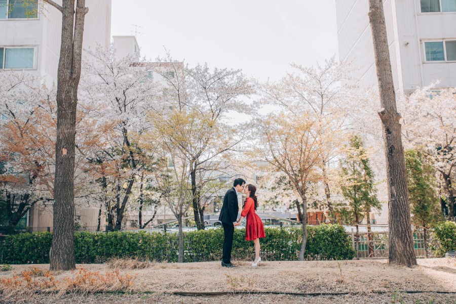 S & C Korea Outdoor Pre-Wedding Photoshoot At Seonyudo Park & Yeonnam-dong by Jongjin on OneThreeOneFour 0