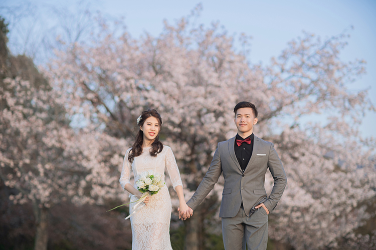 cherry blossoms wedding photoshoot nara deer park