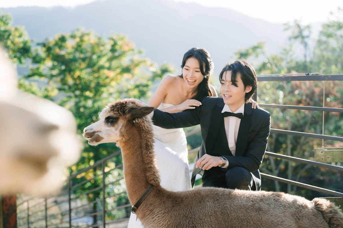 Seoul Autumn Pre-Wedding Photoshoot with Lotte World, Alpaca World, and Hongdae Streets by Jungyeol on OneThreeOneFour 16