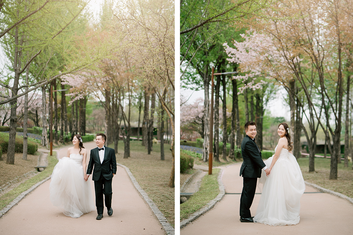 Cherry Kiss: Capturing Love Amidst Seoul's Cherry Blossoms by Jungyeol on OneThreeOneFour 10