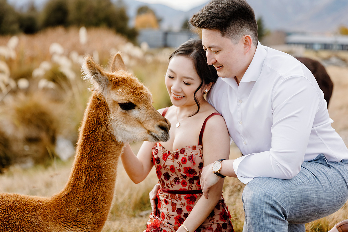 New Zealand Pre-Wedding 3-Days Photoshoot with Coromandel Peak, Mount Cook National Park, Arrowtown and Starry Night by Fei on OneThreeOneFour 34