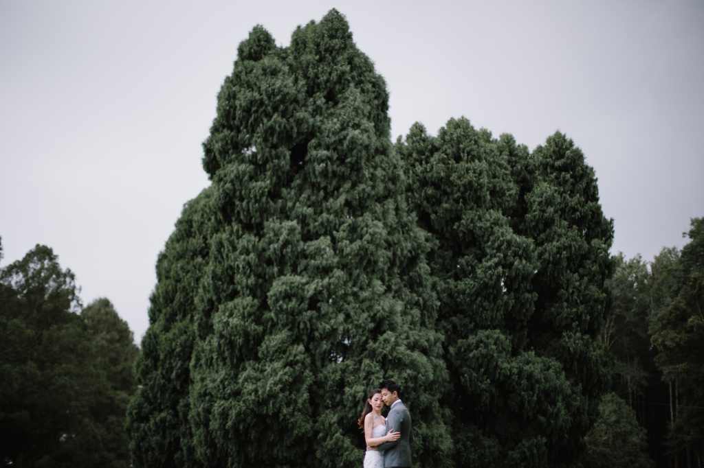 Bali Pre-Wedding Photoshoot At Tamblingan Lake And Forest  by Hendra on OneThreeOneFour 17