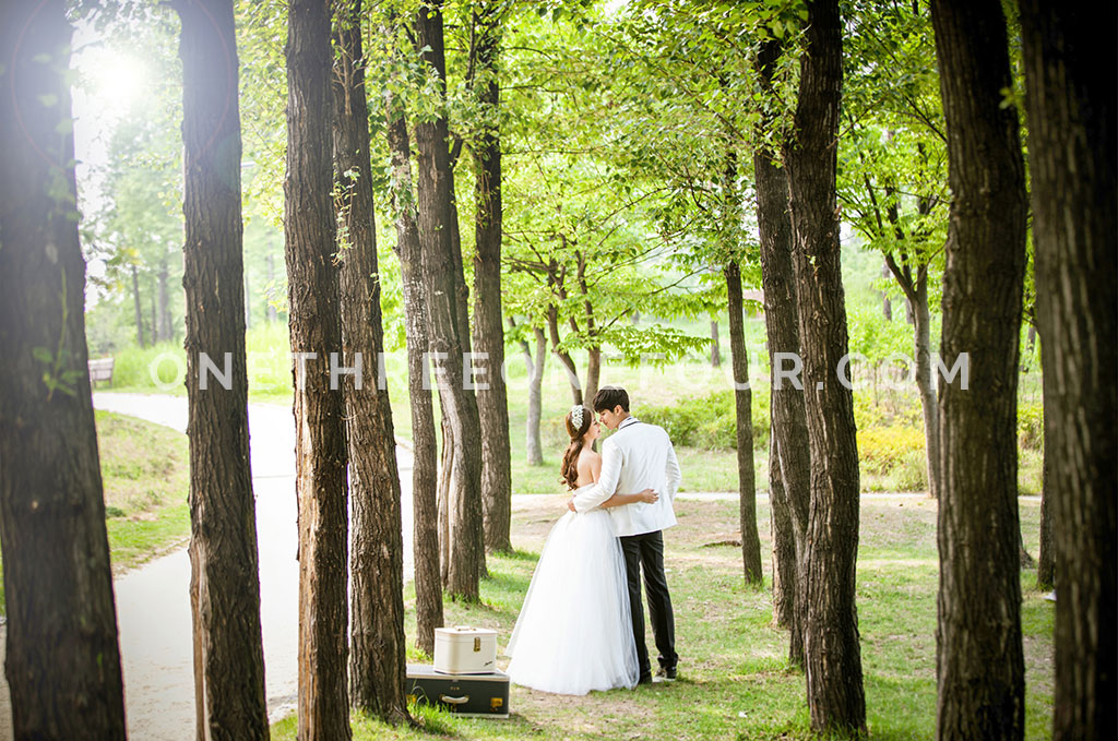 [AUTUMN] Korean Studio Pre-Wedding Photography: Seonyudo Park (선유도 공원)  (Outdoor) by The Face Studio on OneThreeOneFour 40