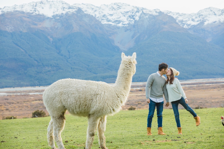 New Zealand Pre-Wedding Photoshoot At Coromandel Peak, Arrowtown And Alpaca Farm by Felix  on OneThreeOneFour 41