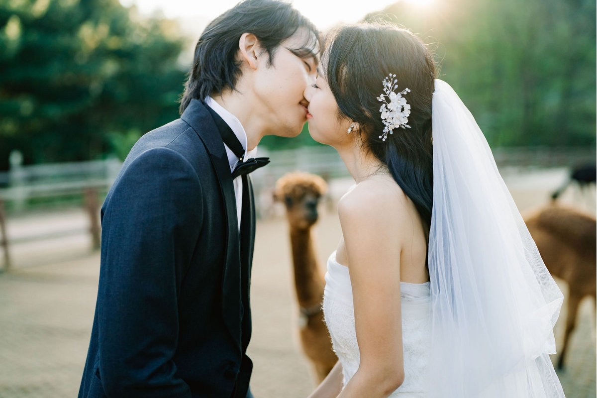 Seoul Autumn Pre-Wedding Photoshoot with Lotte World, Alpaca World, and Hongdae Streets by Jungyeol on OneThreeOneFour 21