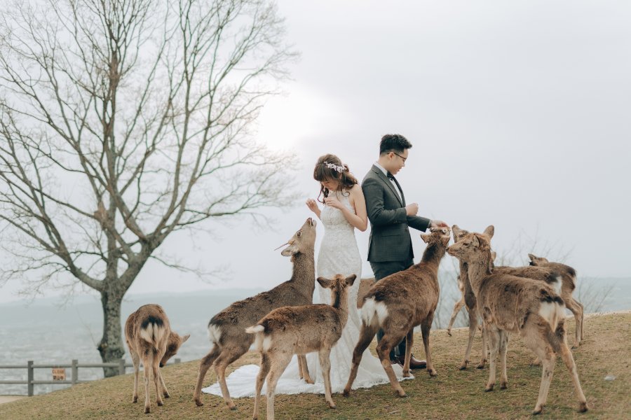 K&JQ: Lovely pre-wedding in Japan, Kyoto by Kinosaki on OneThreeOneFour 22