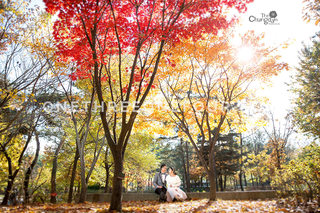 [AUTUMN] Seoul Forest Autumn Outdoor Shoot by Chungdam Studio on OneThreeOneFour 3