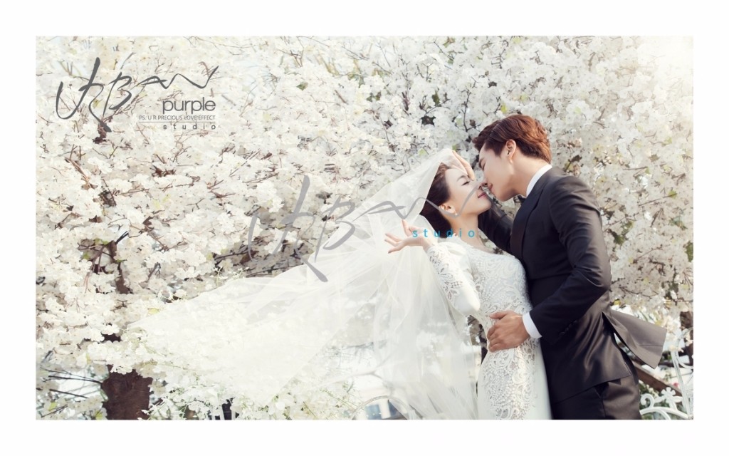 Korean Wedding Photos: Purple Collection 2 by Urban Studio on OneThreeOneFour 2