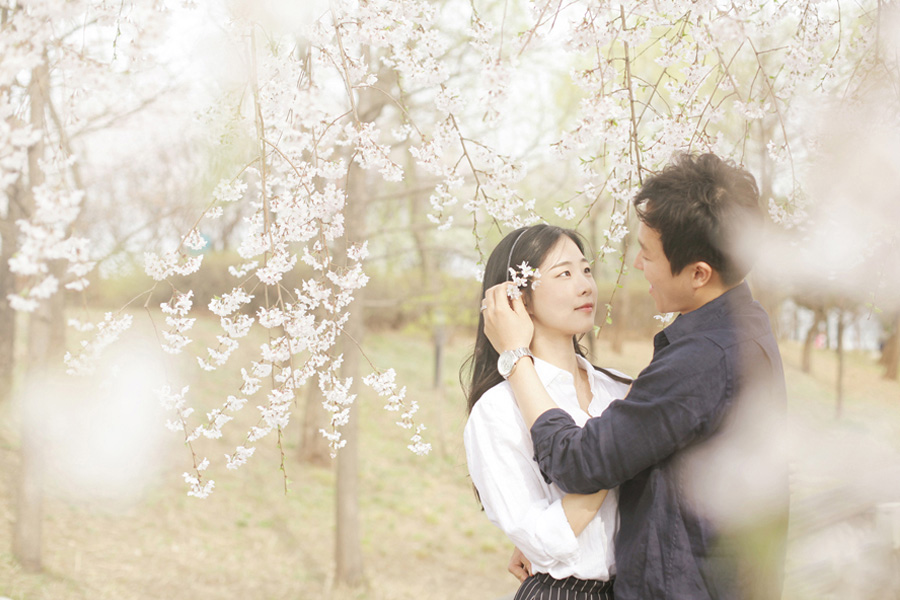 Korea Cherry Blossom Photoshoot At Seonyundo Park  by Junghoon on OneThreeOneFour 7