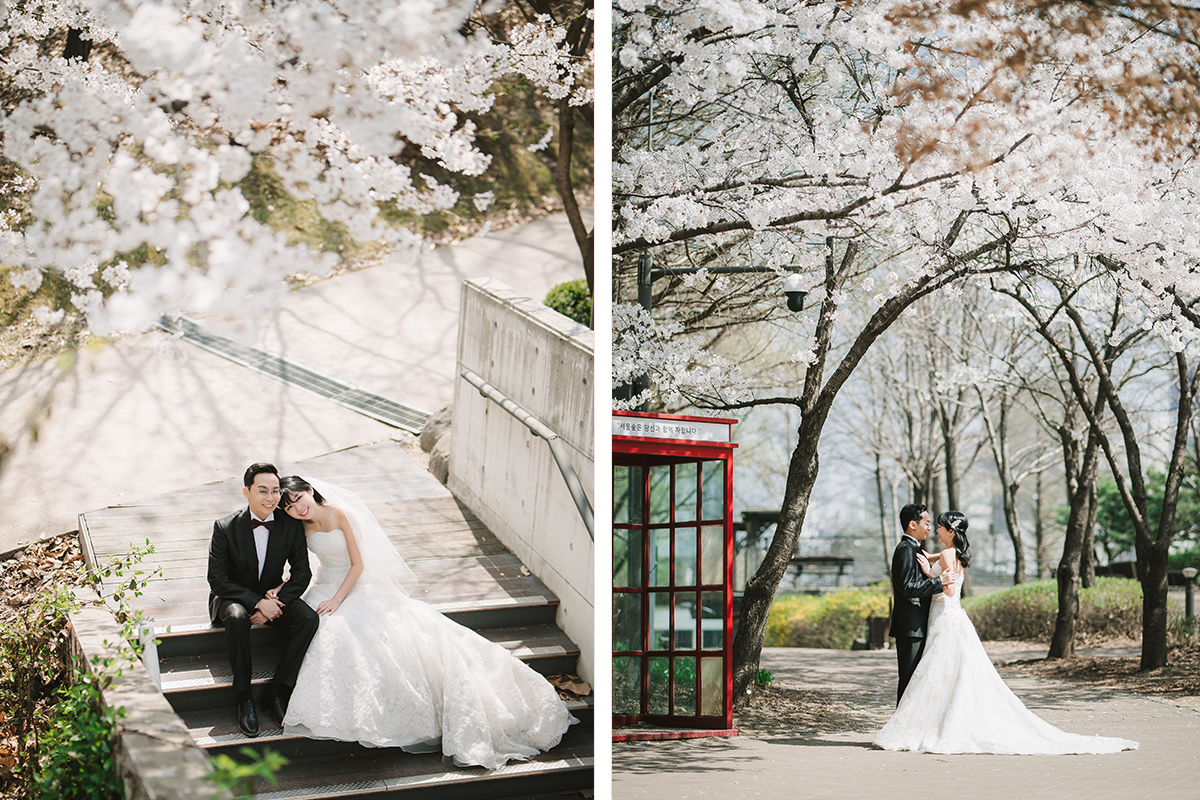 Celebrate Love in Full Bloom: Seoul Spring Pre-Wedding Photoshoot Experience by Jungyeol on OneThreeOneFour 6