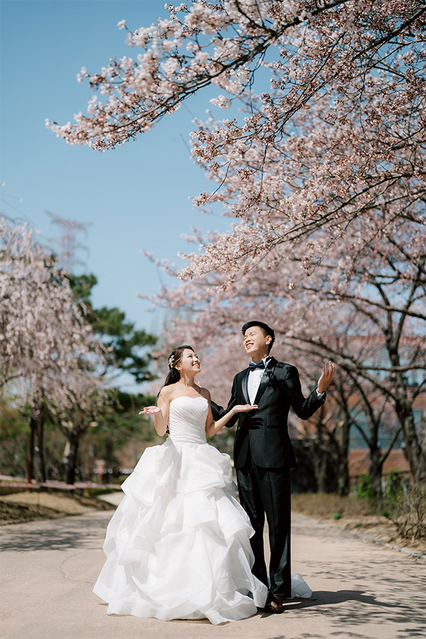 韓國首爾櫻花季婚紗拍攝 仙遊島公園和南山谷韓屋村 by Jungyeol on OneThreeOneFour 8