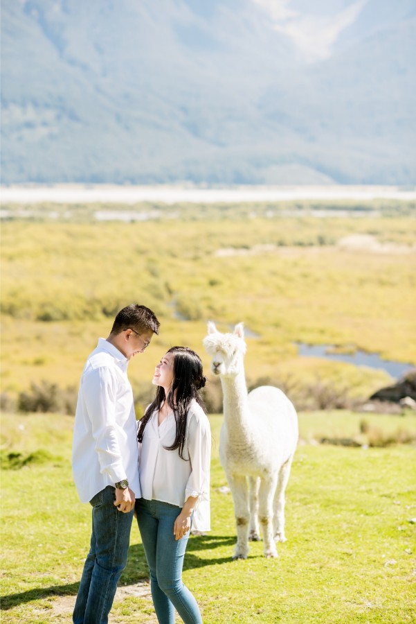 New Zealand Starry Night Prewedding Photoshoot with Alpaca Farm  by Mike on OneThreeOneFour 35