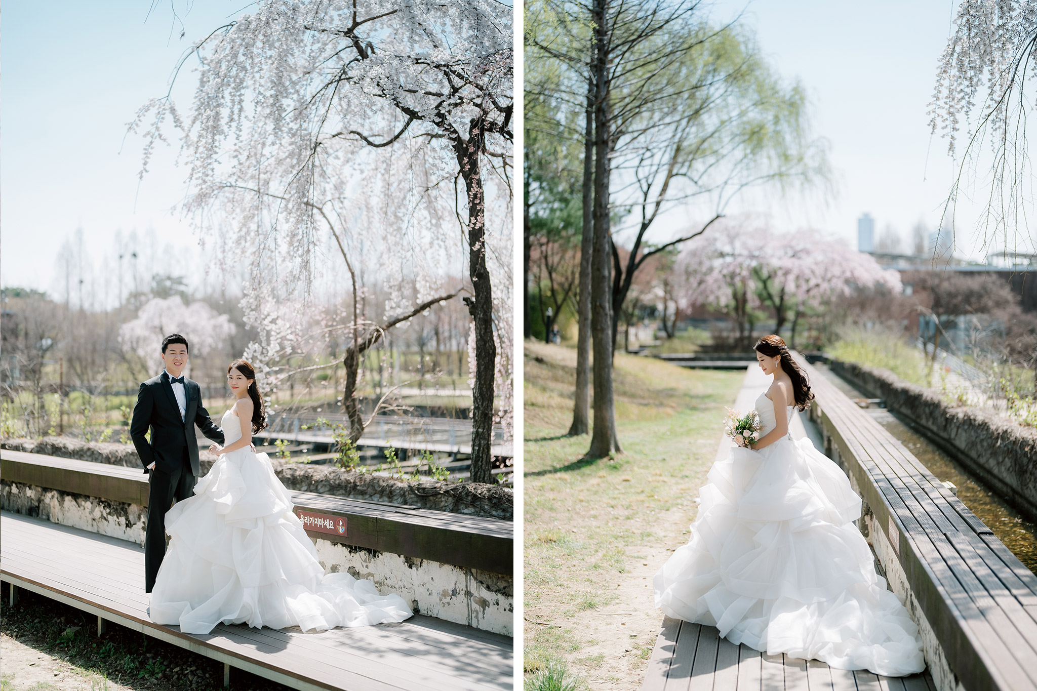 韓國首爾櫻花季婚紗拍攝 仙遊島公園和南山谷韓屋村 by Jungyeol on OneThreeOneFour 7