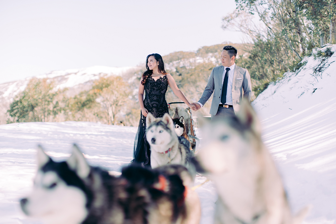 Winter Pre-Wedding Photoshoot with Huskies in Melbourne  by Freddie on OneThreeOneFour 4