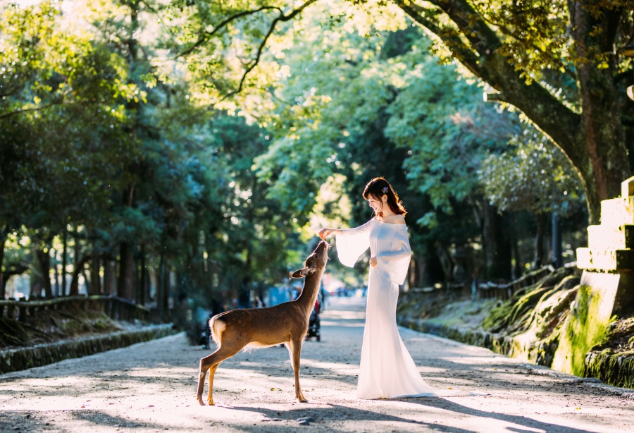 Japan Pre-Wedding Photoshoot At Nara Deer Park  by Jia Xin on OneThreeOneFour 7