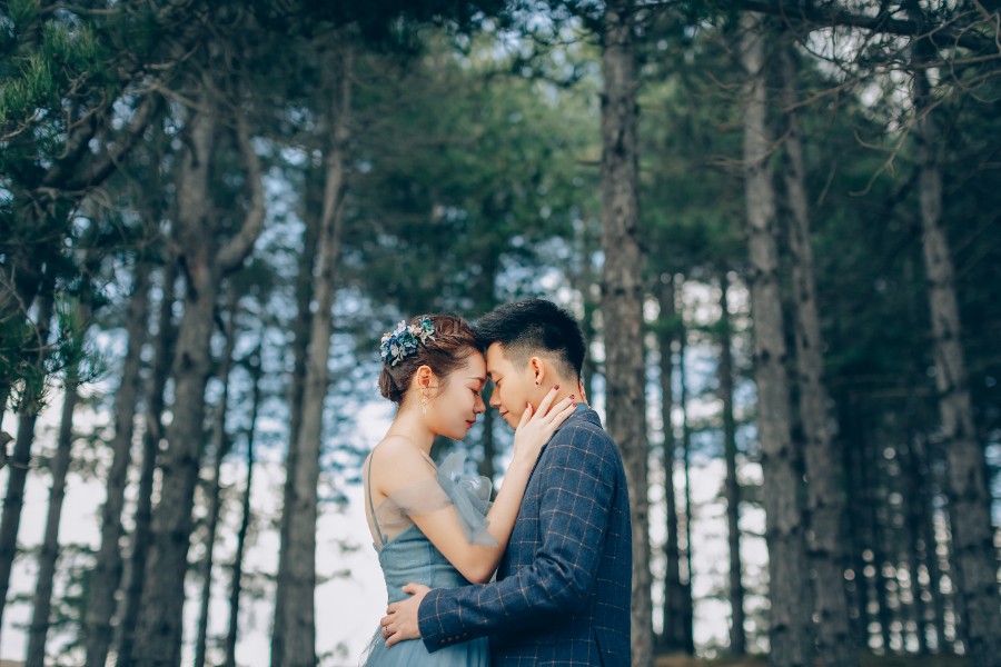 S&D: New Zealand Spring Pre-wedding Photoshoot with Alpacas and Milky Way by Xing on OneThreeOneFour 18