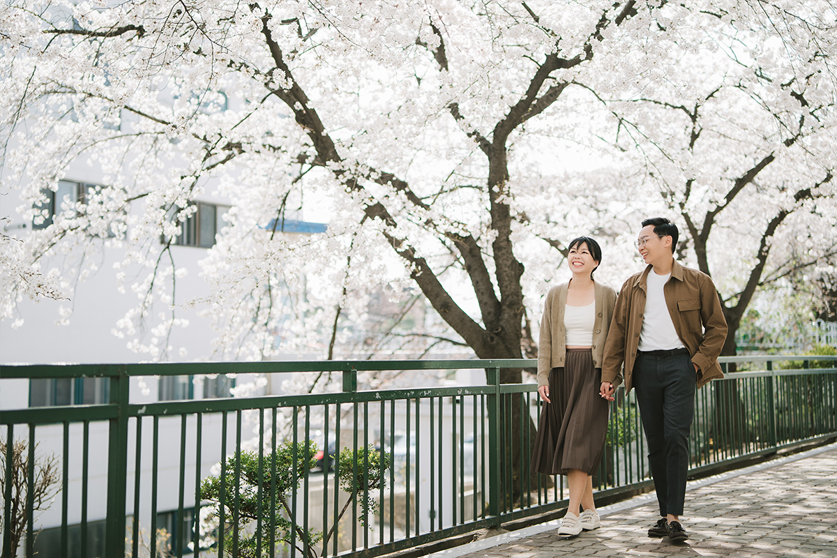 Celebrate Love in Full Bloom: Seoul Spring Pre-Wedding Photoshoot Experience by Jungyeol on OneThreeOneFour 7