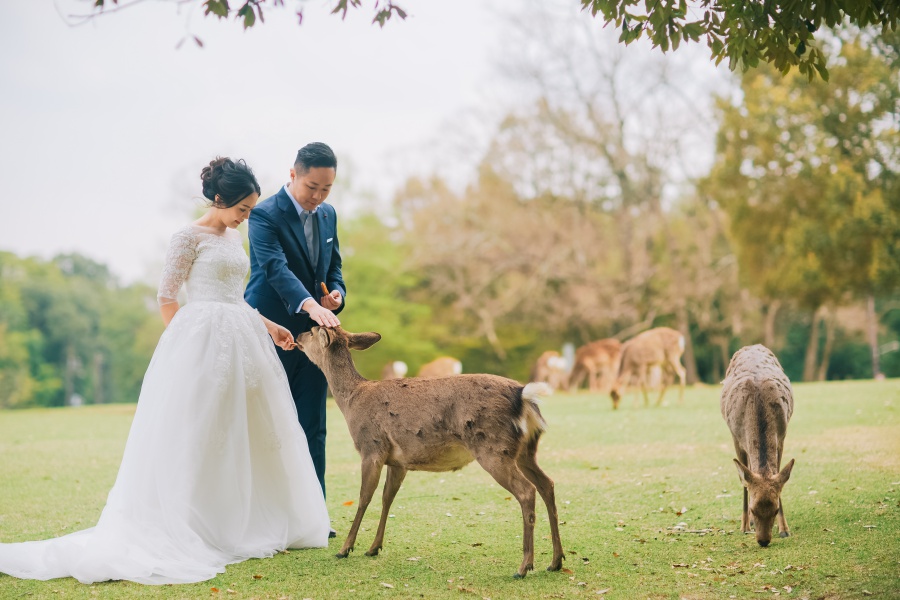 Japan Kyoto Pre-Wedding Photoshoot At Philosopher's Path And Nara Deer Park  by Kinosaki  on OneThreeOneFour 16
