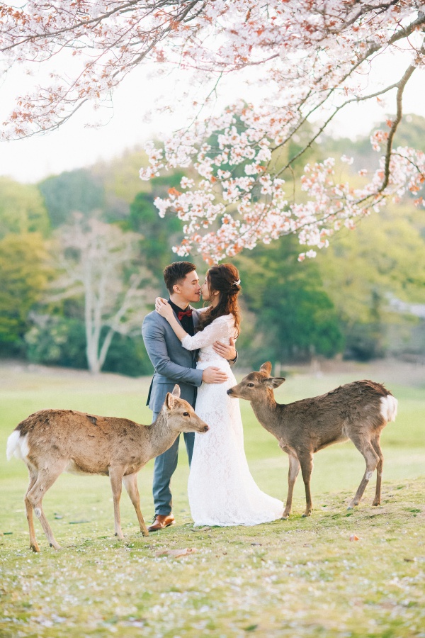 Japan Kyoto Pre-Wedding Photoshoot At Gion District And Nara Deer Park  by Kinosaki  on OneThreeOneFour 21