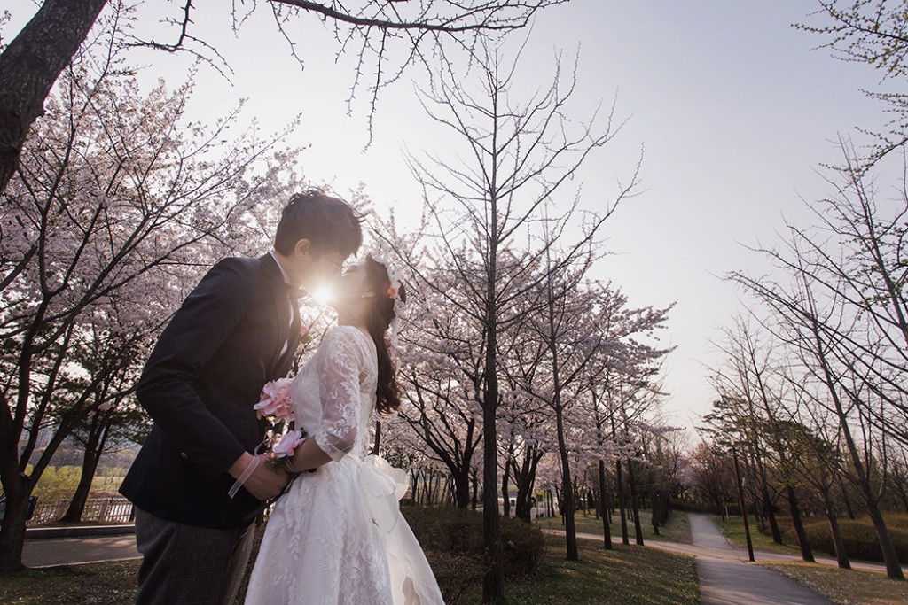 Korea Cherry Blossom Pre-Wedding Photoshoot At Seonyundo Park by Junghoon on OneThreeOneFour 10