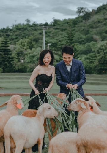 Pre-Wedding Photoshoot In Bangkok At Chinatown And Alpaca Hill Farm 