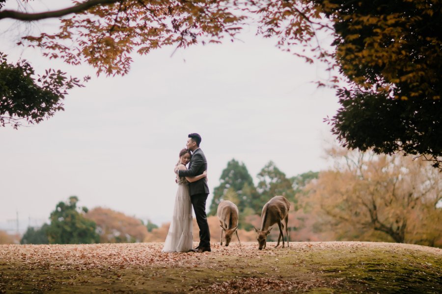 Autumn Japan Kyoto Pre-Wedding Photoshoot At Nara Deer Park and Gion by Kinosaki on OneThreeOneFour 25