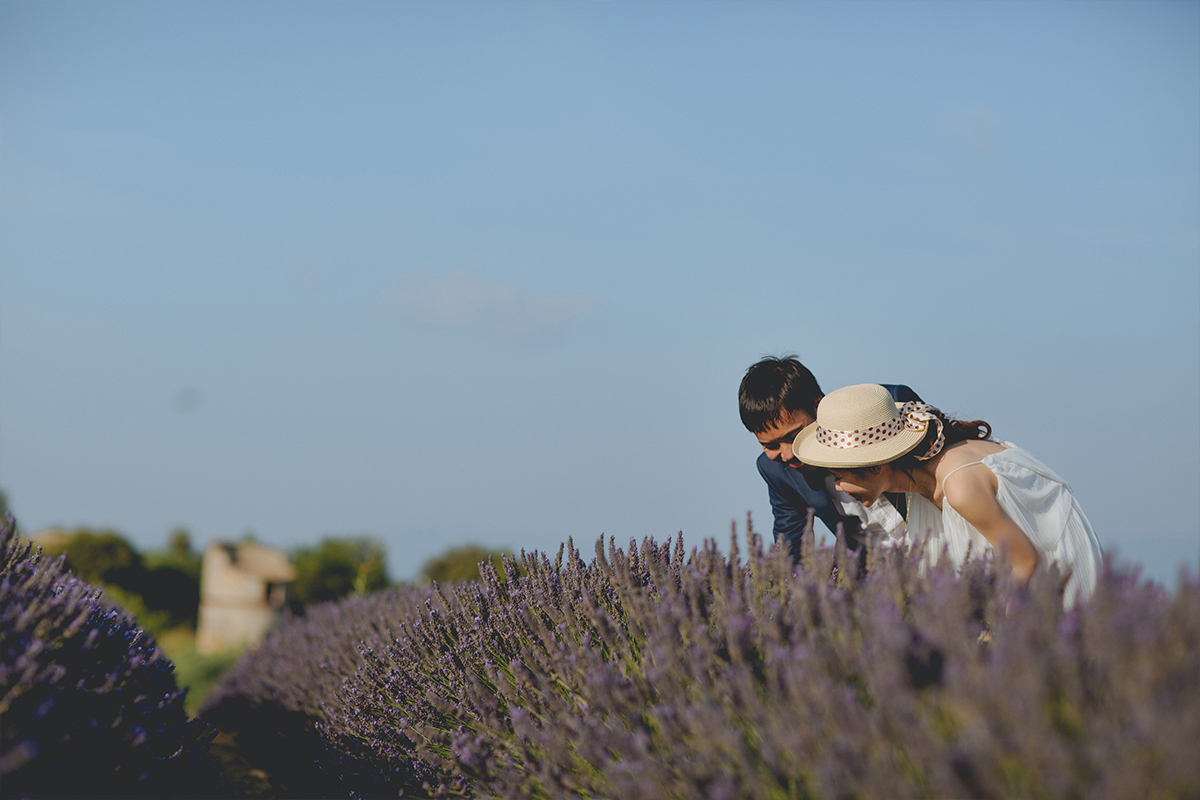 Provence Southern France Pre-Wedding Photoshoot at Lavender Fields & Sunflower Farm by Vin on OneThreeOneFour 18