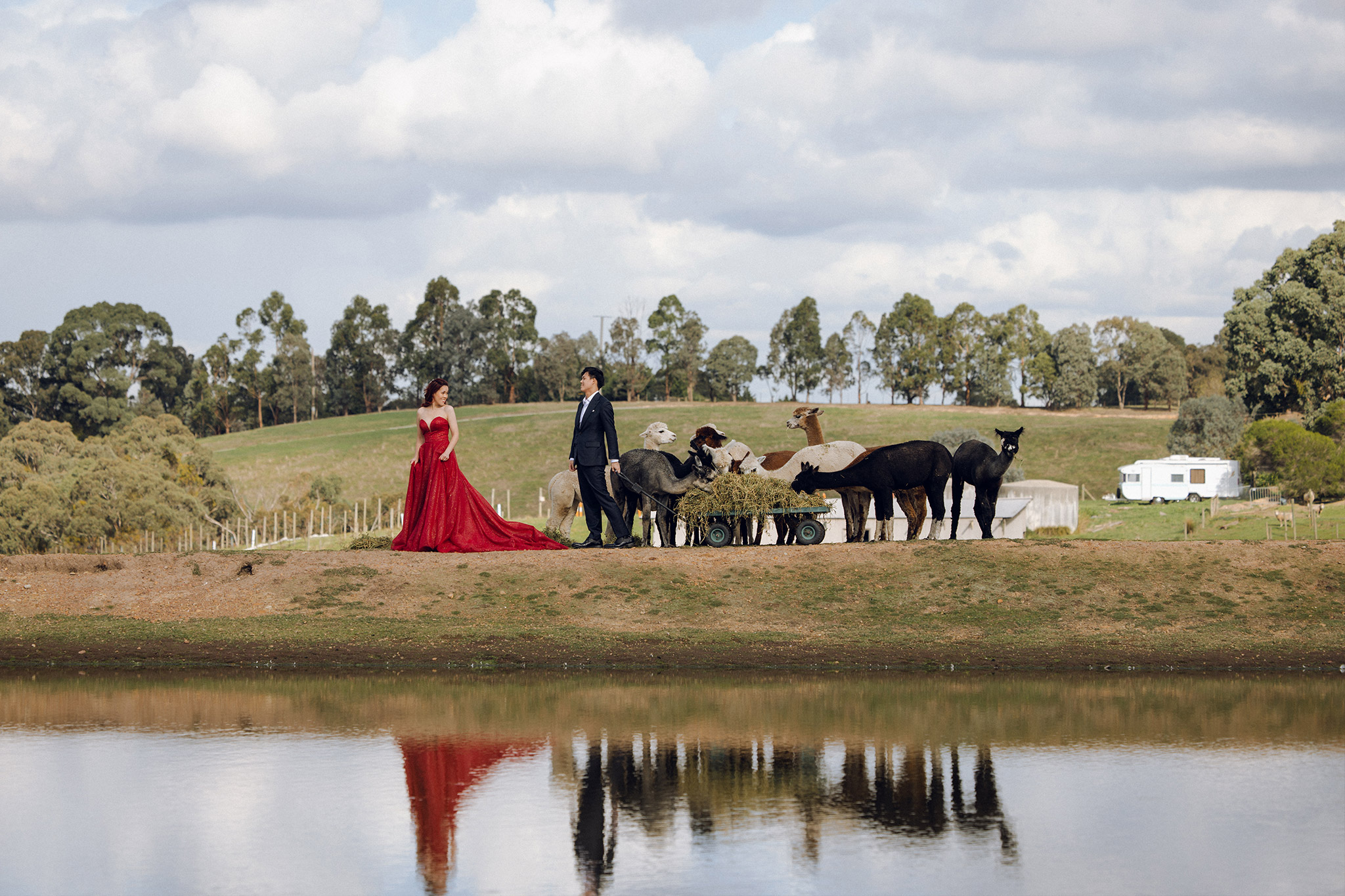 Melbourne Pre-Wedding Photoshoot at Alpaca Farm, Fitzroy Gardens & Brighton Beach by Freddie on OneThreeOneFour 4