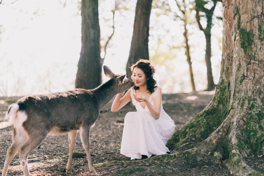Japan Pre-Wedding Photoshoot At Nara Deer Park  by Jia Xin  on OneThreeOneFour 2