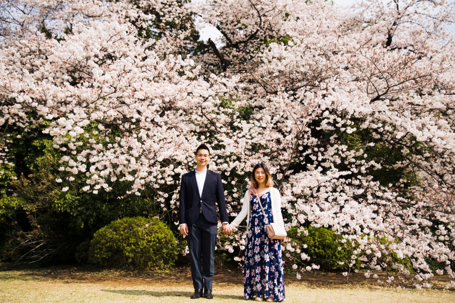 Japan Tokyo Surprise Proposal Photoshoot At Shinjuku Gyoen During Cherry Blossom Season by Koki on OneThreeOneFour 16