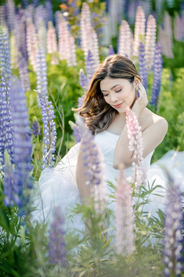 K&M: Dreamy pre-wedding in New Zealand at Coromandel Peak and alpaca farm during Lupin season  by Fei on OneThreeOneFour 11