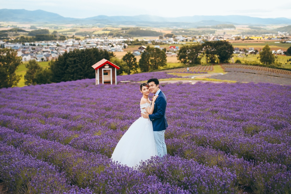 Hokkaido Pre-Wedding Photographer: Summer Photoshoot At Shikisai No Oka Alpaca Farm And Hinode Park Lavender Field by Kouta on OneThreeOneFour 25