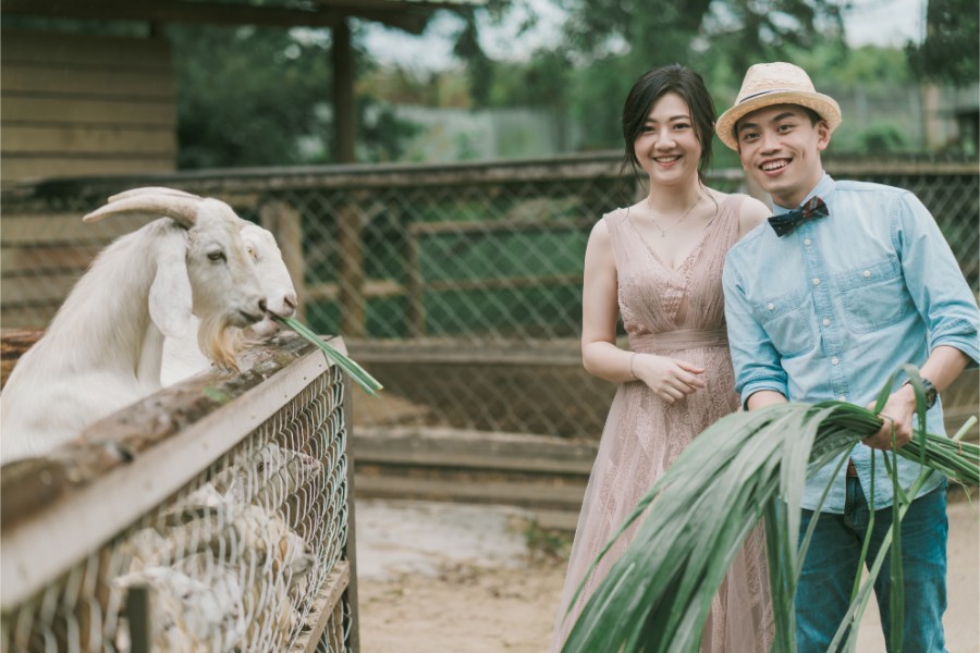 Taiwan Tainan Zoo Qi Gu Salt Mountain Prewedding Photoshoot by Star on OneThreeOneFour 2