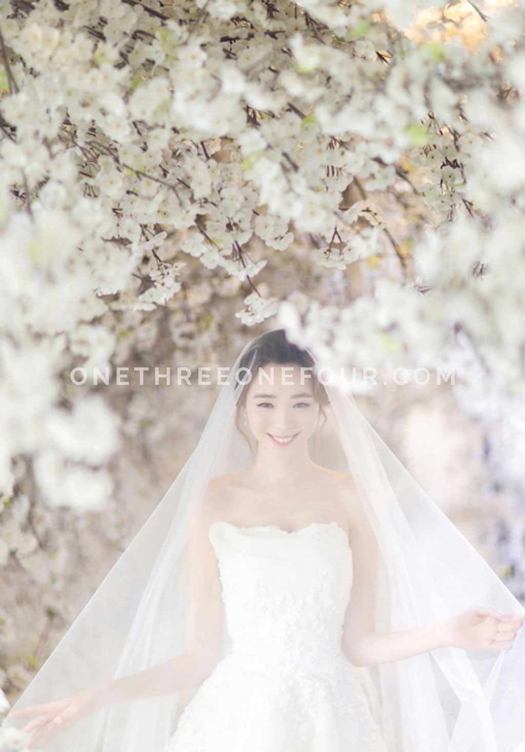 M Company - Korean Studio Pre-Wedding Photography: Cherry Blossom by M Company on OneThreeOneFour 3