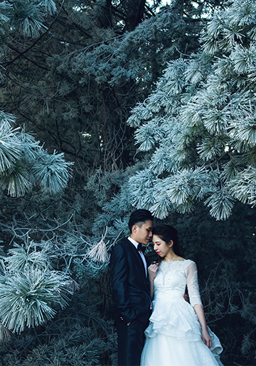 J&R: New Zealand Winter Pre-wedding Photoshoot Under the Stars