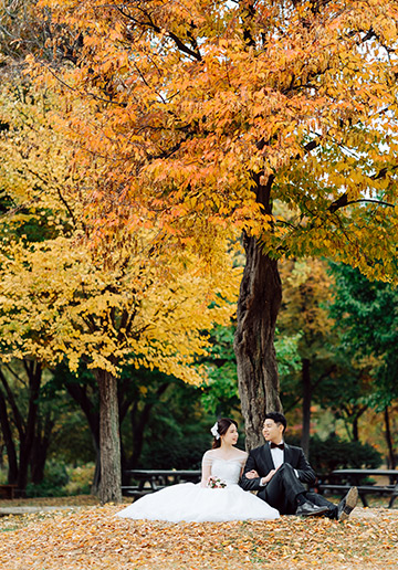 V&E Korea Autumn Pre-Wedding at Seoul Forest Park, Kyung Hee University and Namsangol Hanok Village