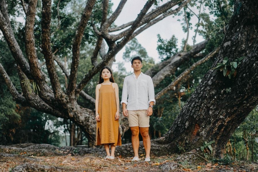 Singapore Pre-Wedding Photoshoot At Lower Peirce Reservoir With Puppies by Charles on OneThreeOneFour 12