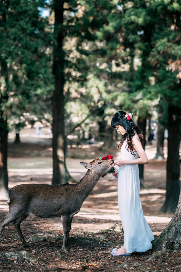 奈良公園和祇園日本京都婚紗拍攝 by Jia Xin  on OneThreeOneFour 9