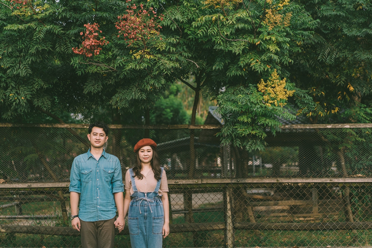 Taiwan Pre-Wedding Photoshoot Pier Blue Skies Animal Farm Flamingos Capybaras Llamas Autumn Leaves by  on OneThreeOneFour 30