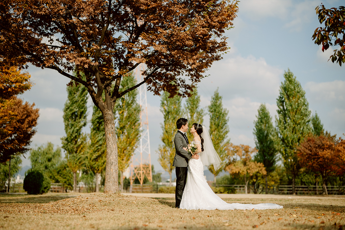 Korea Seoul Autumn Pre-Wedding Photoshoot with Silvergrass at Hanuel Park & Seonyudo Park by Jungyeol on OneThreeOneFour 19