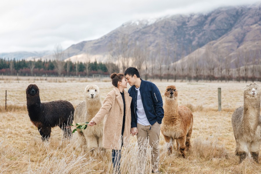 J&J: Magical pre-wedding in Queenstown, Arrowtown, Lake Pukaki by Fei on OneThreeOneFour 16