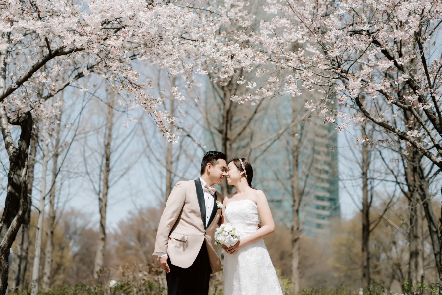 T&J: Korea Cherry Blossom Pre-wedding Photoshoot at Namsangol Hanok Village and Seoul Forest by Jungyeol on OneThreeOneFour 5