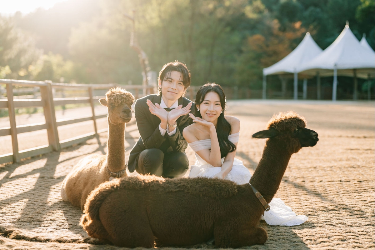 Seoul Autumn Pre-Wedding Photoshoot with Lotte World, Alpaca World, and Hongdae Streets by Jungyeol on OneThreeOneFour 18