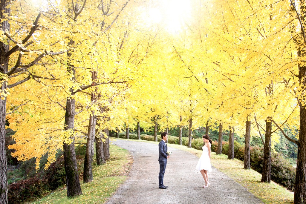 Korean Outdoor Pre-Wedding Photography in Autumn with Yellow and Red Maple Leaves by ePhoto Essay Studio on OneThreeOneFour 1