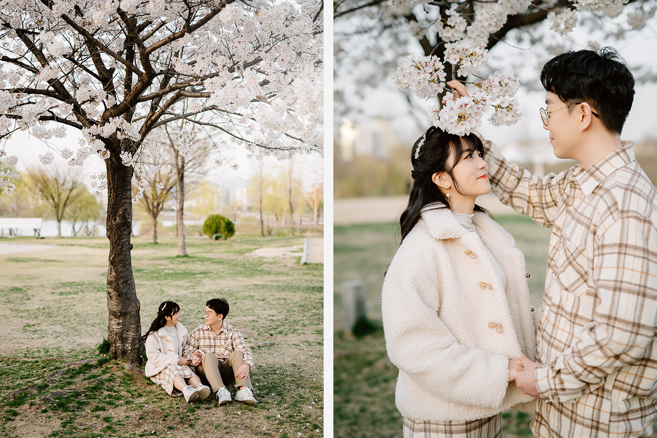 Cute Korea Pre-Wedding Photoshoot Under the Cherry Blossoms Trees by Jungyeol on OneThreeOneFour 16